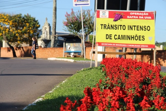 Garibaldi inicia a Operação Safra da Uva 2017