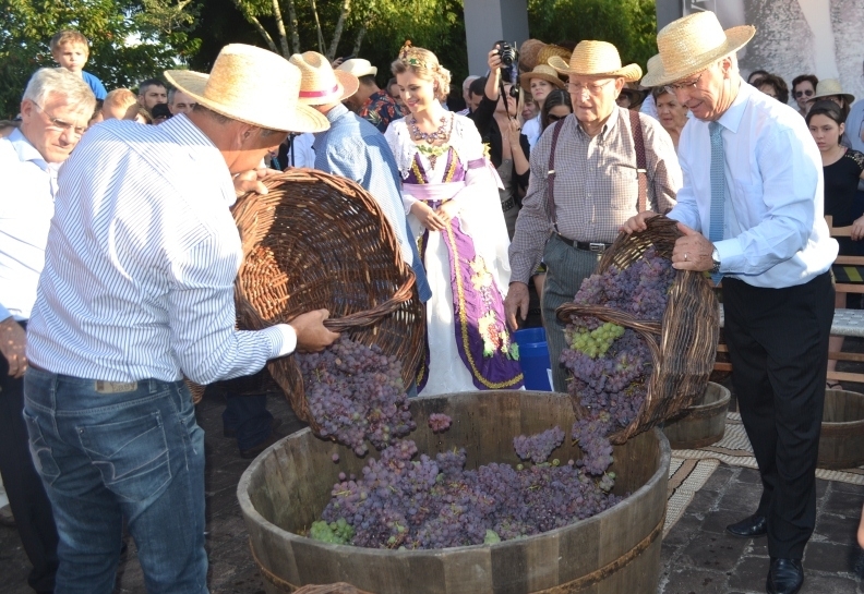 Vale dos Vinhedos abre neste sábado a Vindima 2017