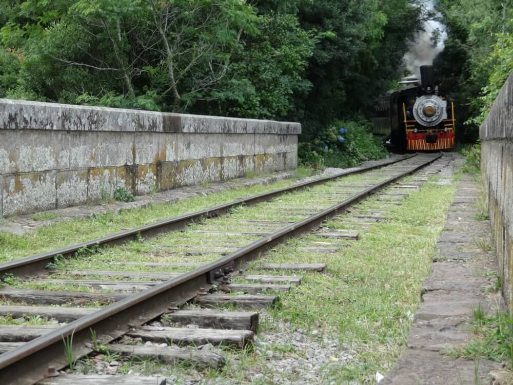 Corsan diz que marrequinhas não serão totalmente retiradas da barragem