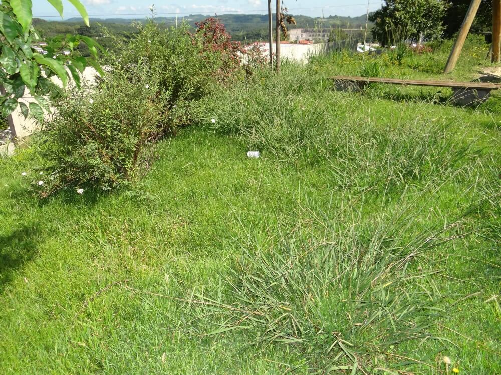 Comunidade reclama do abandono na Praça da Ermida em Garibaldi