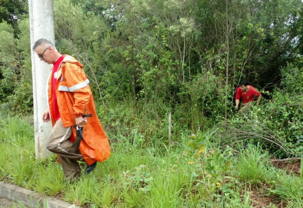 Bombeiros fazem buscas a idoso desaparecido em Bento