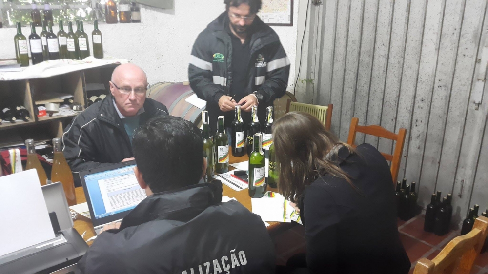 Produtor artesanal de Garibaldi tem vinhos apreendidos