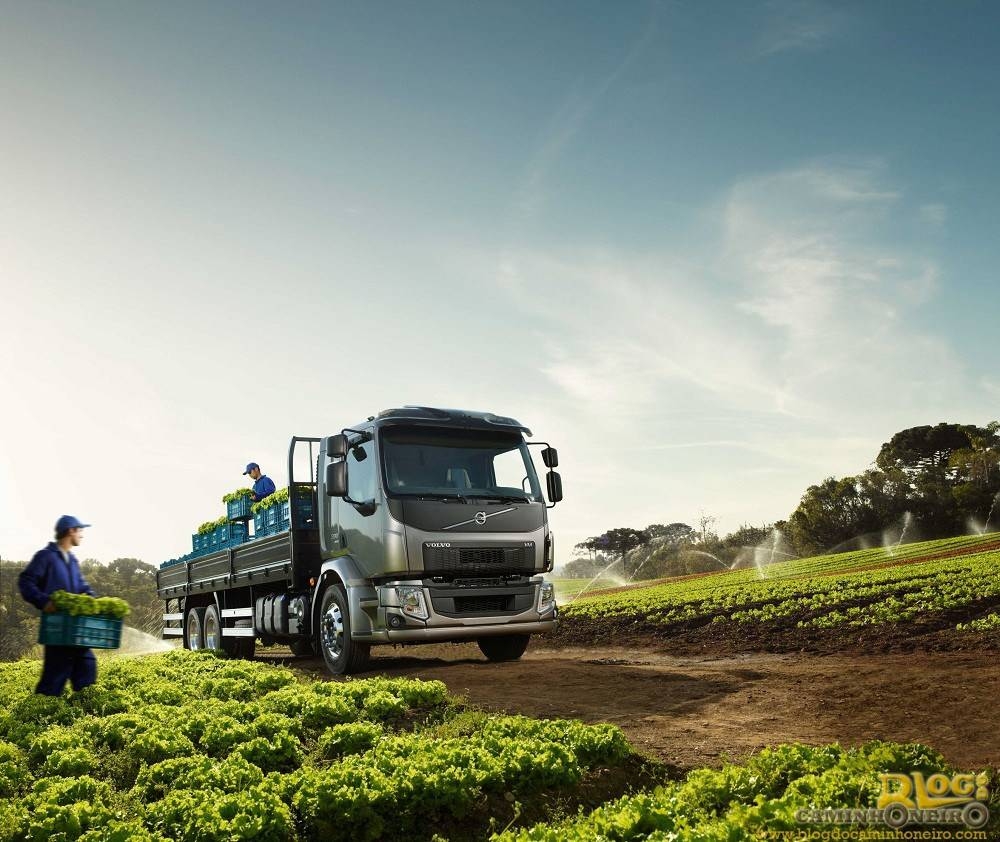 Dia do Agricultor e do Motorista são celebrados nesta terça-feira