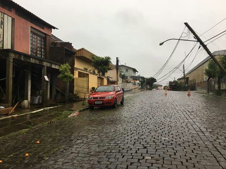 Temporal causa destelhamentos e quedas de árvores na região