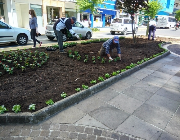 Mais de 4 mil mudas de flores são plantadas na Via Del Vino em Bento