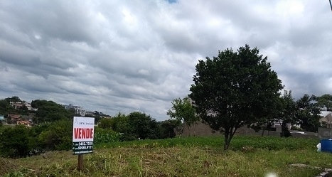 Terrenos e imóveis rurais têm queda nas vendas