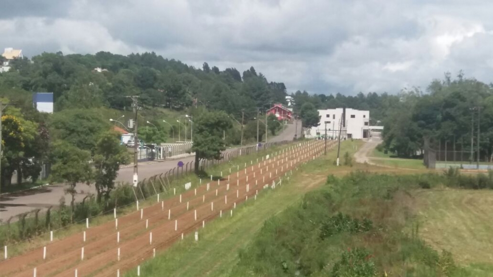 Após quatro anos, hípica volta a ter “Carreirada”