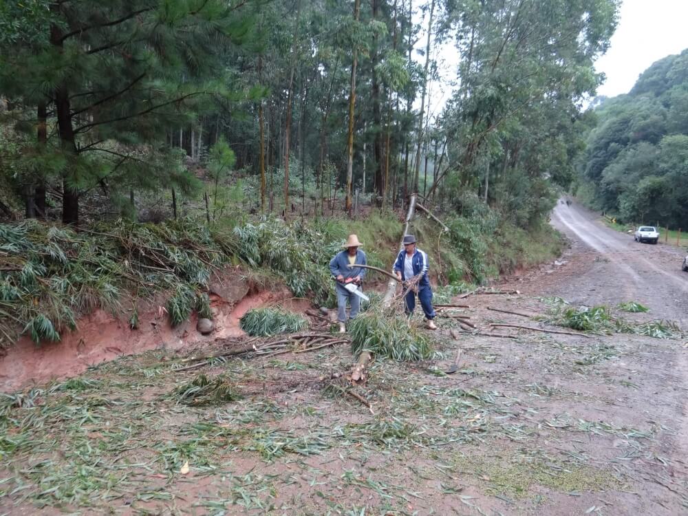 Ventos de 100 km/h causam transtornos em Carlos Barbosa