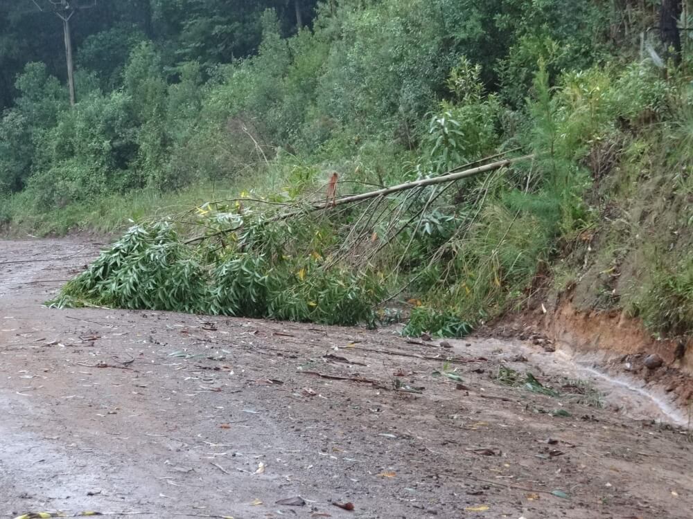 Ventos de 100 km/h causam transtornos em Carlos Barbosa