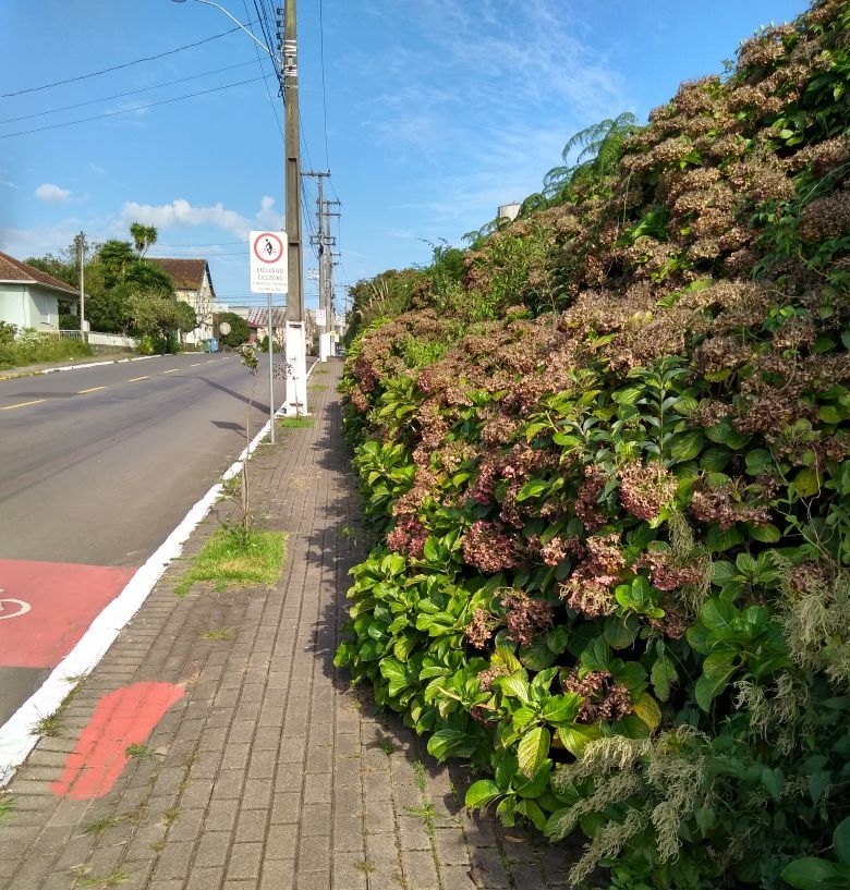 Parque da Estação volta a ser depósito de lixo irregular em Garibaldi