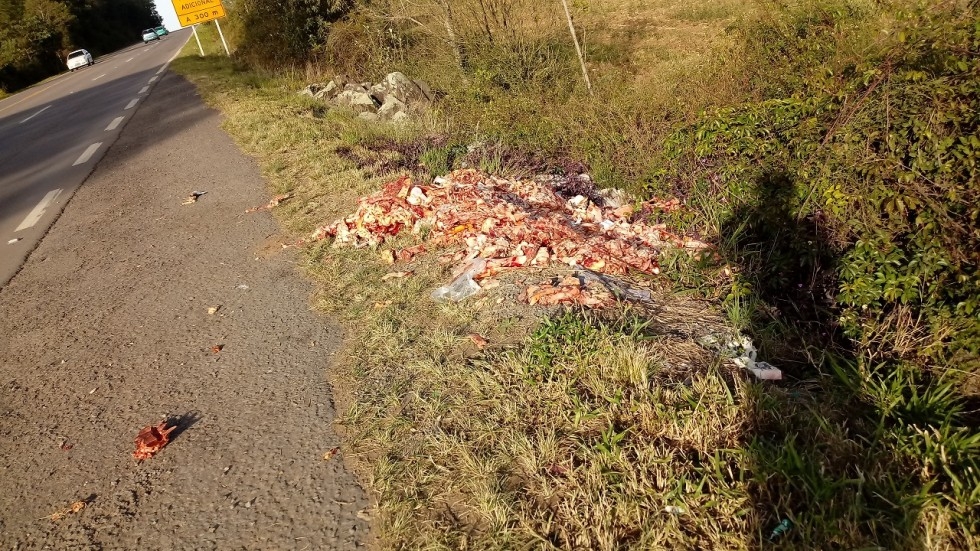 Carne é descartada de forma irregular na BR 470 em Carlos Barbosa