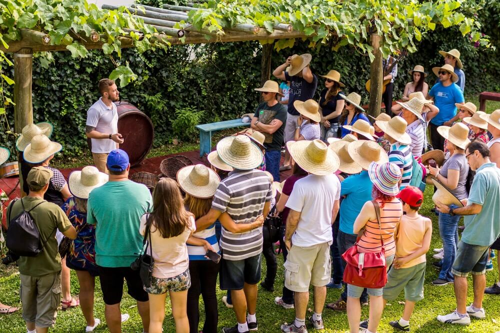 Congresso Latino-Americano de Enoturismo tem inscrições prorrogadas