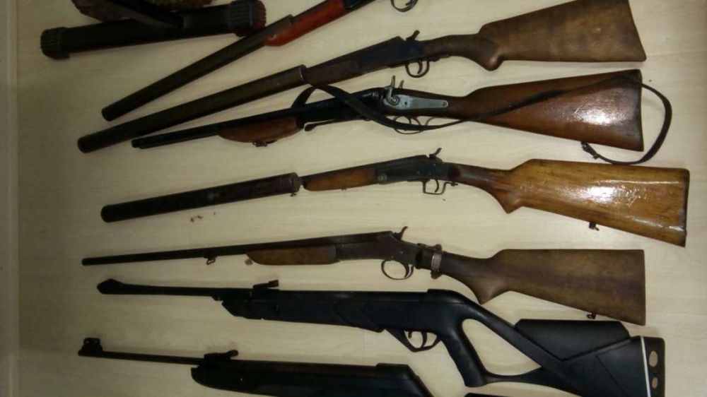 Armas e animais silvestres são apreendidos no interior de Garibaldi