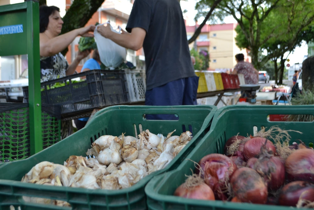 Censo Agro 2017 contabiliza 823 propriedades rurais em Garibaldi