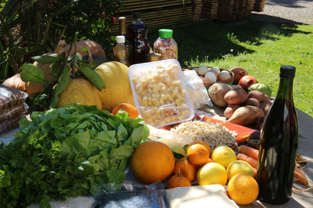 Aumenta a produção de orgânicos em Garibaldi