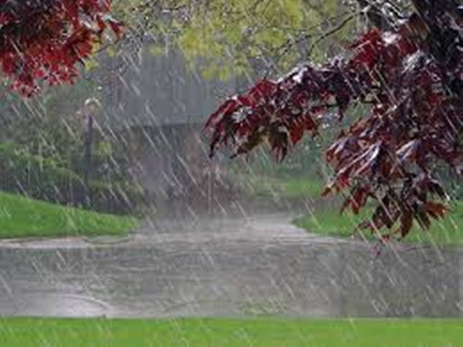  Primavera inicia neste sábado com previsão de muita chuva