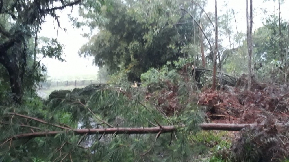 Temporal provoca estragos em Carlos Barbosa e Bento Gonçalves