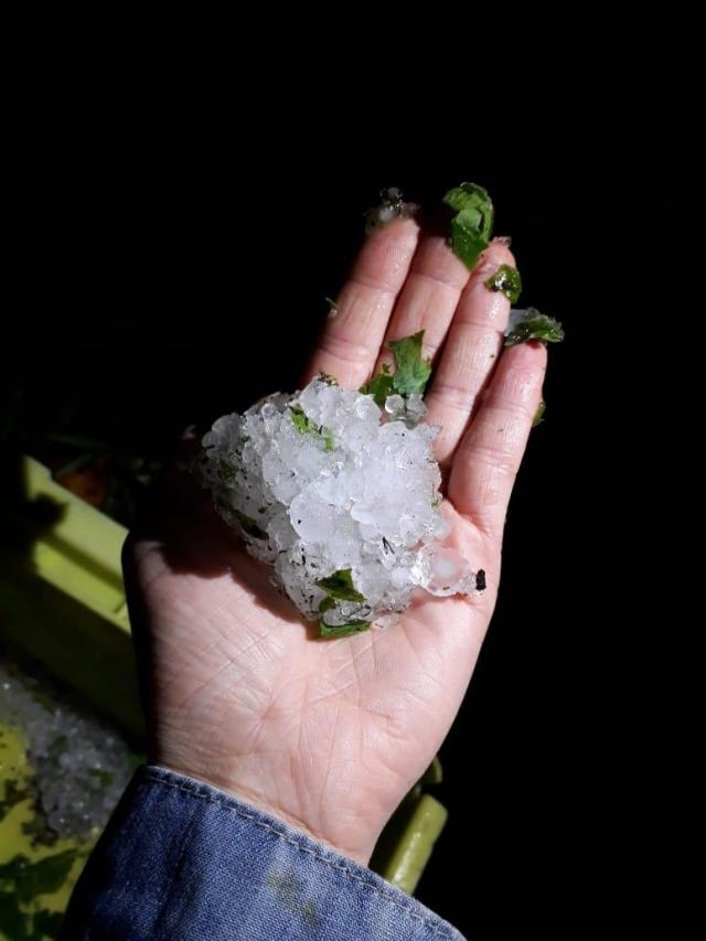 Temporal provoca estragos em Carlos Barbosa e Bento Gonçalves