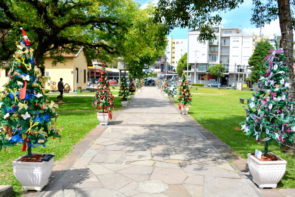  Empresários enfeitam Pinheirinhos de Natal em Carlos Barbosa