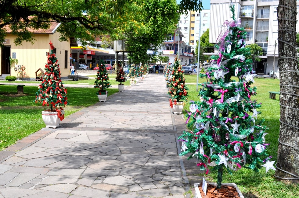  Empresários enfeitam Pinheirinhos de Natal em Carlos Barbosa