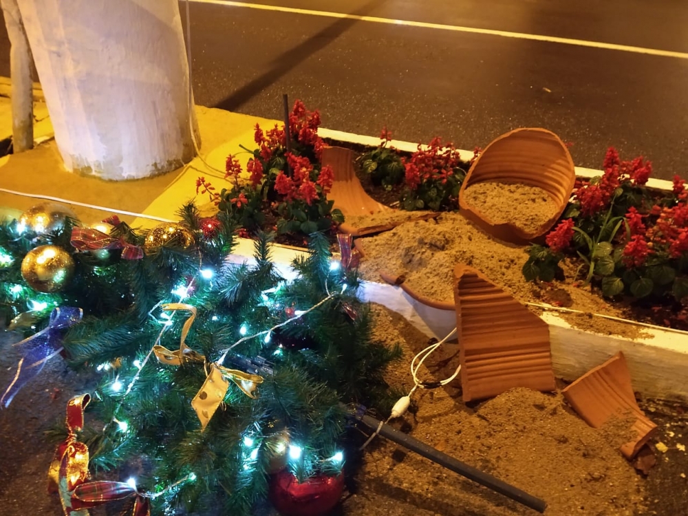 Pinheirinhos de Natal destruídos na área central de Garibaldi