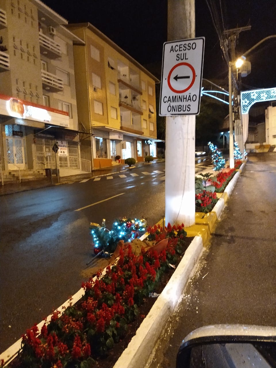 Pinheirinhos de Natal destruídos na área central de Garibaldi