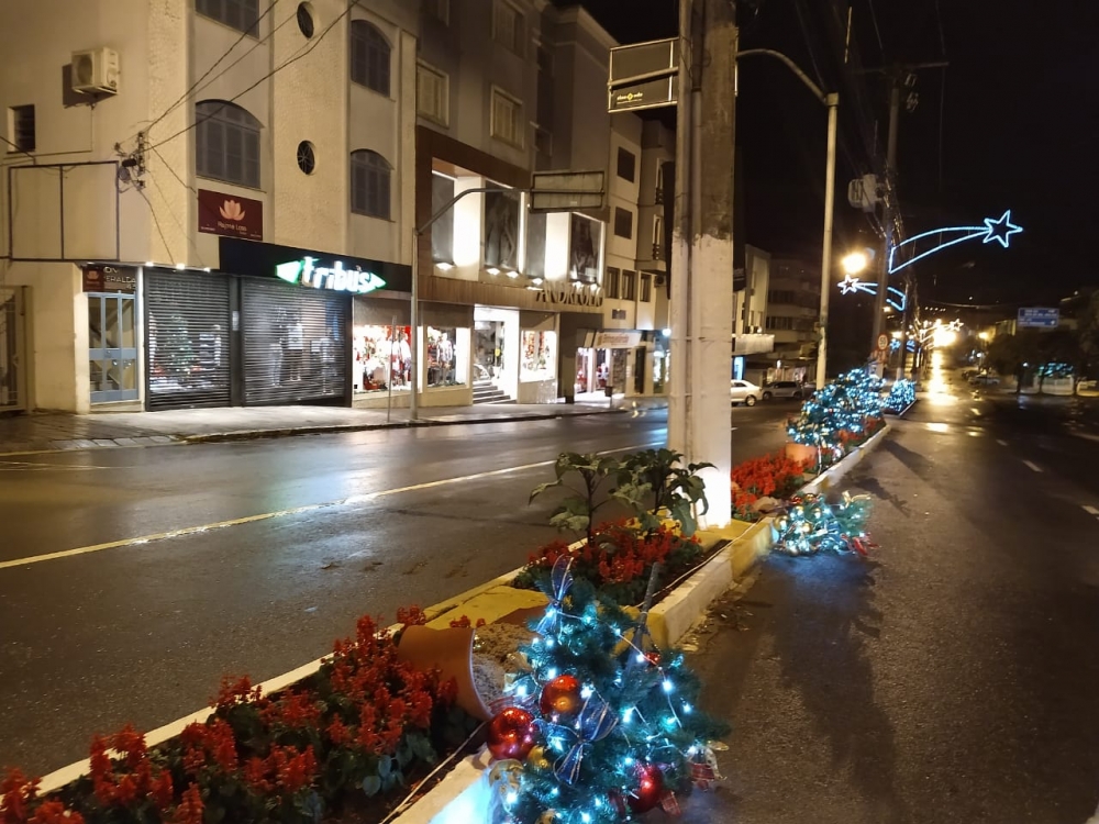 Pinheirinhos de Natal destruídos na área central de Garibaldi