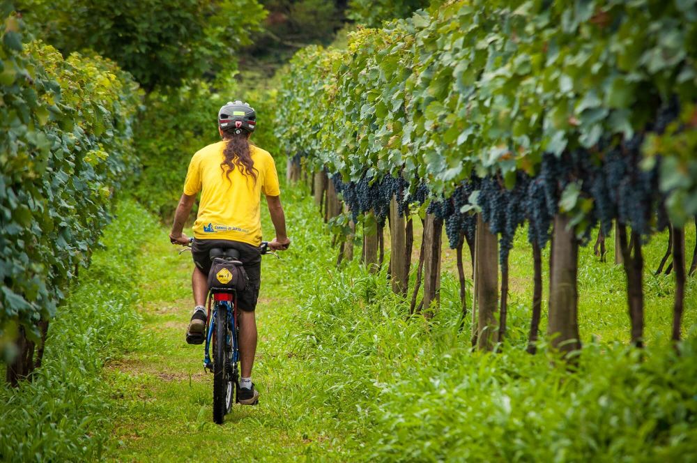 Projeto leva turistas de bicicleta a cinco roteiros da Serra