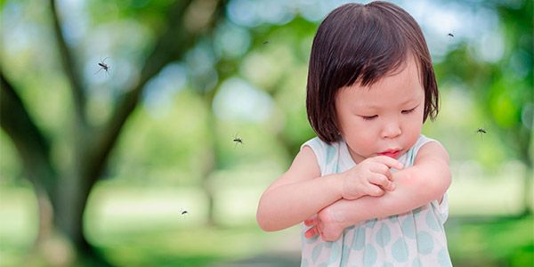 Férias sem mosquito e preocupações com as crianças