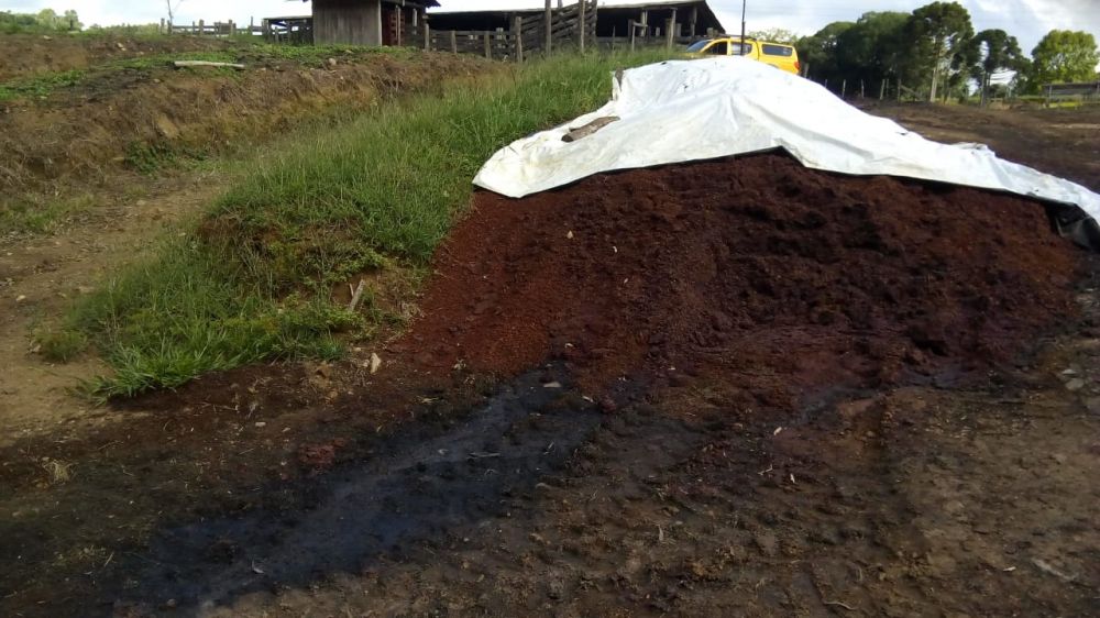 Crime Ambiental no interior de Garibaldi