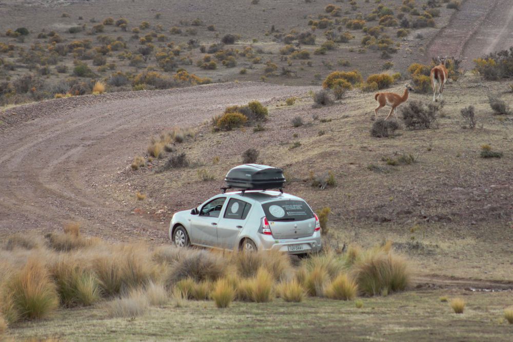 Jornalistas de Bento que exploram a América de carro chegam em Ushuaia