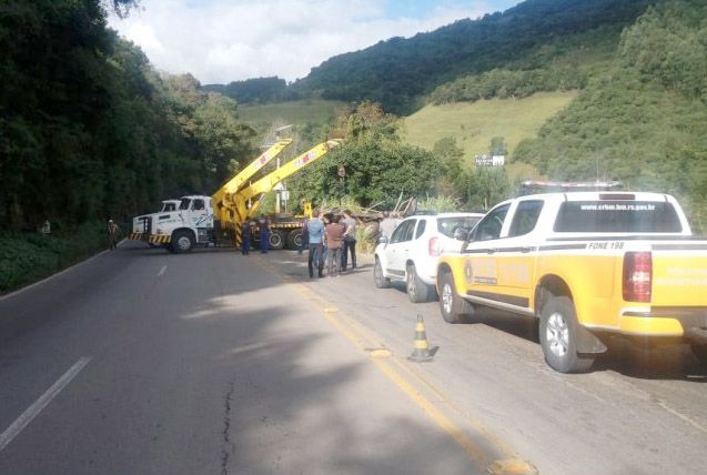 Retirada de caminhão e bois mortos interrompe RS 122