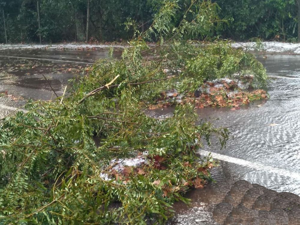 Temporal provoca estragos na região da Serra