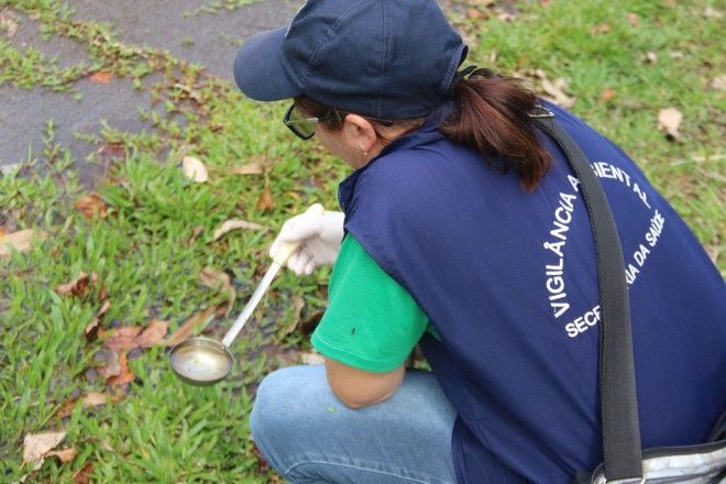 Garibaldi está selecionando agentes para Controle da Dengue