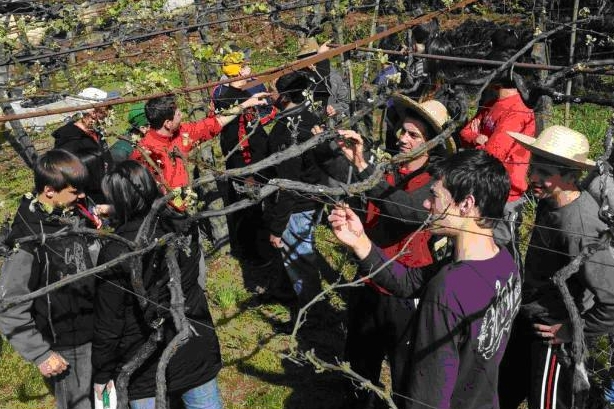 Escola Agrícola da Serra Gaúcha estimula jovens a permanecer no campo