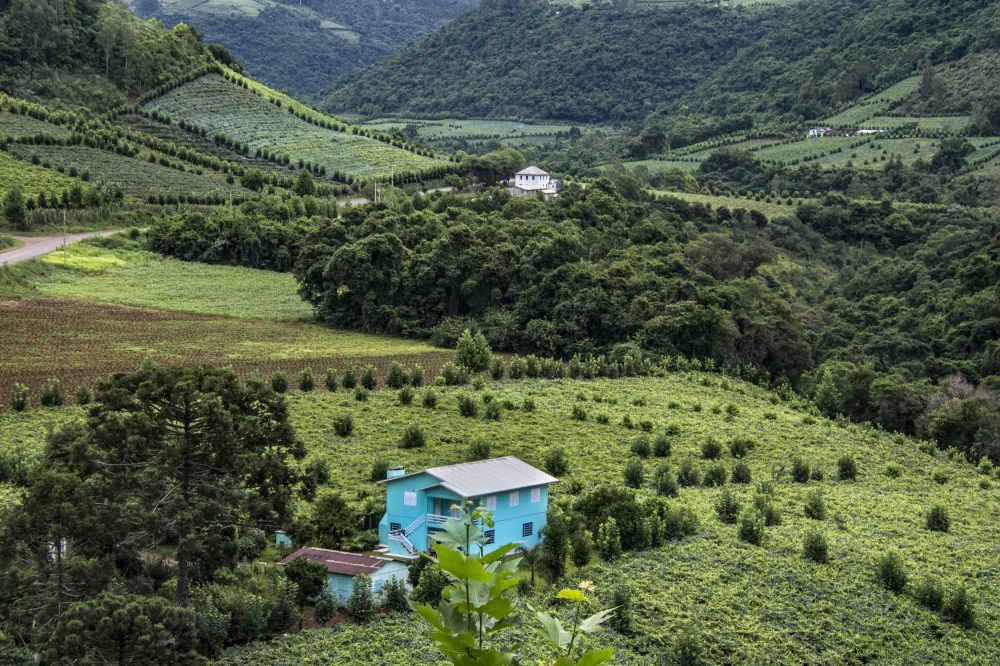 Acordos entre Mercosul e UE preocupam vinicultores da Serra