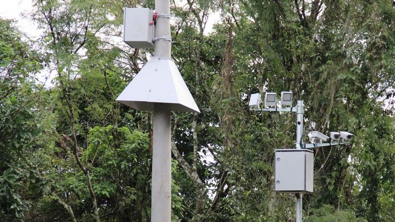 Pardais serão retirados das rodovias gaúchas