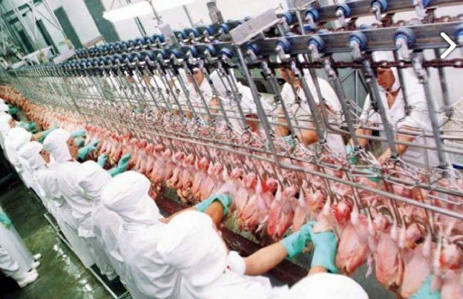 Justiça do Trabalho procura por ex-empregados da Avícola Carrer 