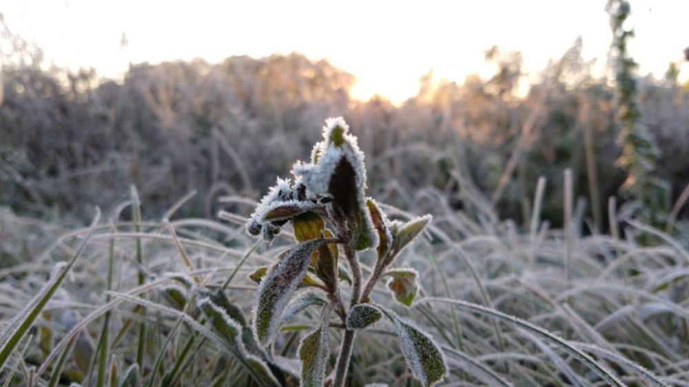 Frio e geada marcam o início da primavera 