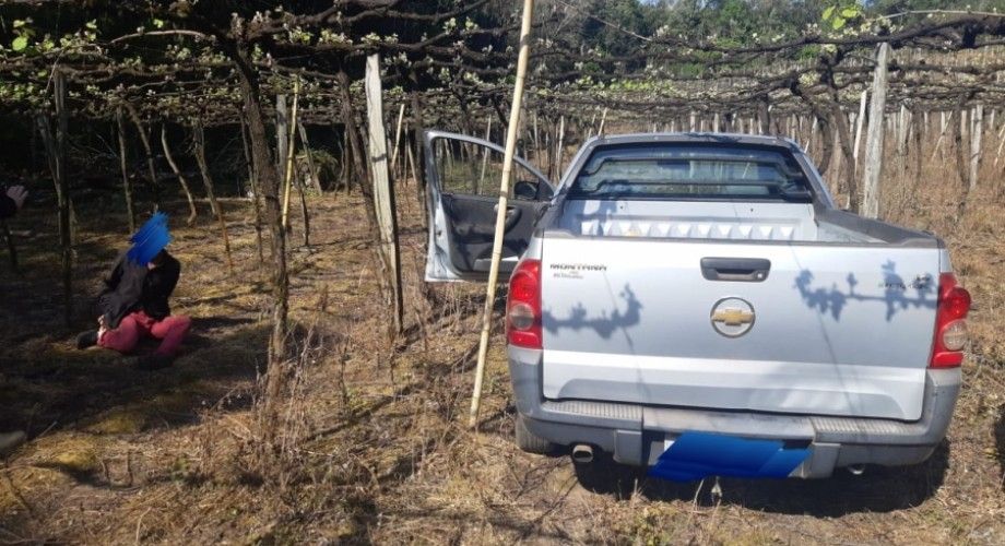 Após fugir da polícia motorista é preso embaixo de parreiral