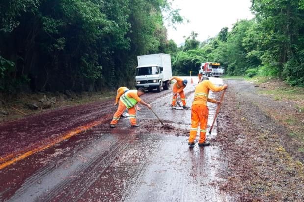 Uva derramada na pista deixa motoristas em alerta na BR 470