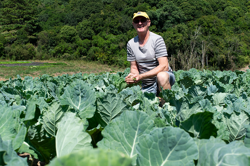 Produtores de orgânicos de Garibaldi e Carlos Barbosa não vão plantar até a volta da chuva