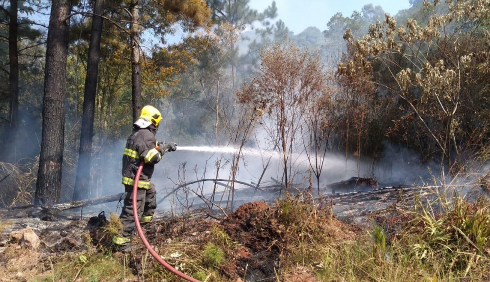 Estiagem aumenta o número de incêndios em vegetação