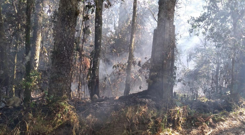 Estiagem aumenta o número de incêndios em vegetação