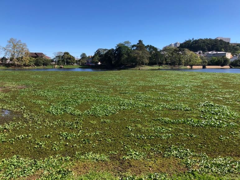 Estiagem expõe pouca capacidade e saídas de esgoto na barragem de Garibaldi