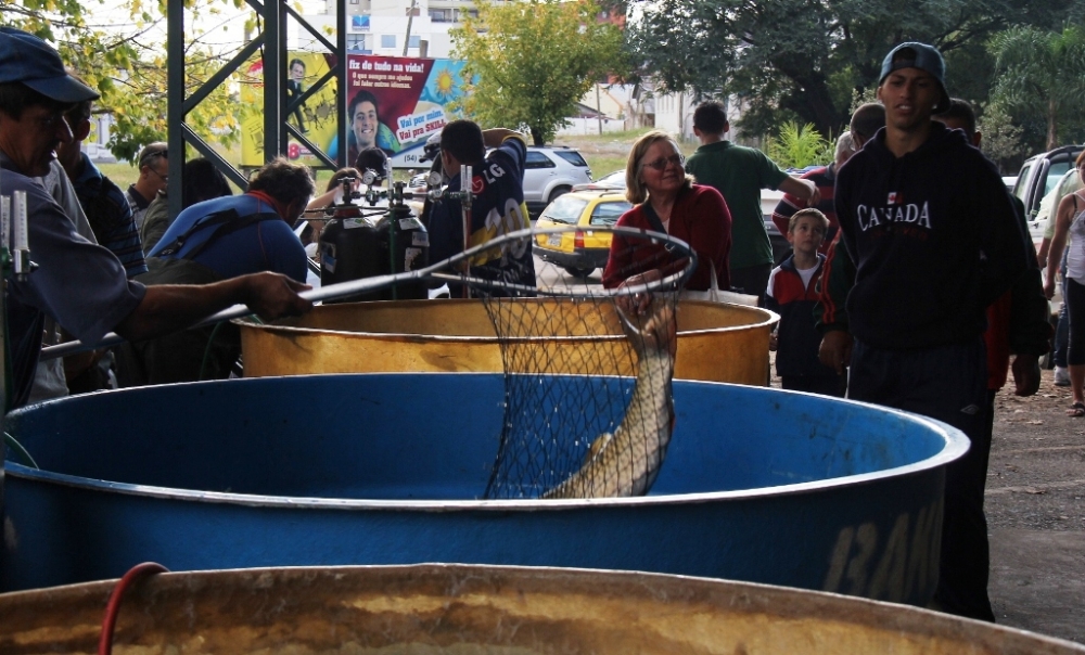 Farroupilha promove Feira do Peixe Vivo da Semana Santa