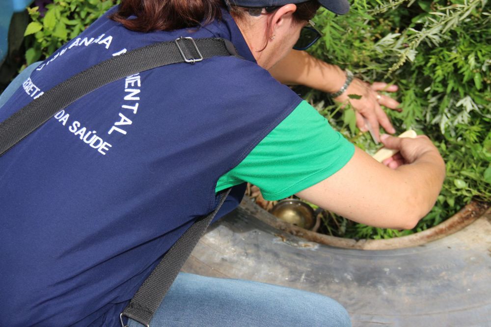 Novos focos de Dengue são encontrados em Garibaldi   