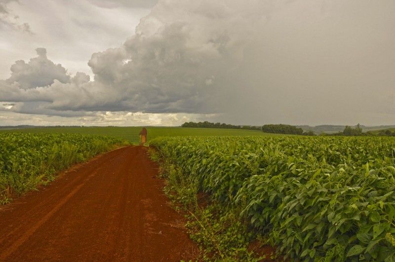 Chuva e frio retornam ao Estado nos próximos dias