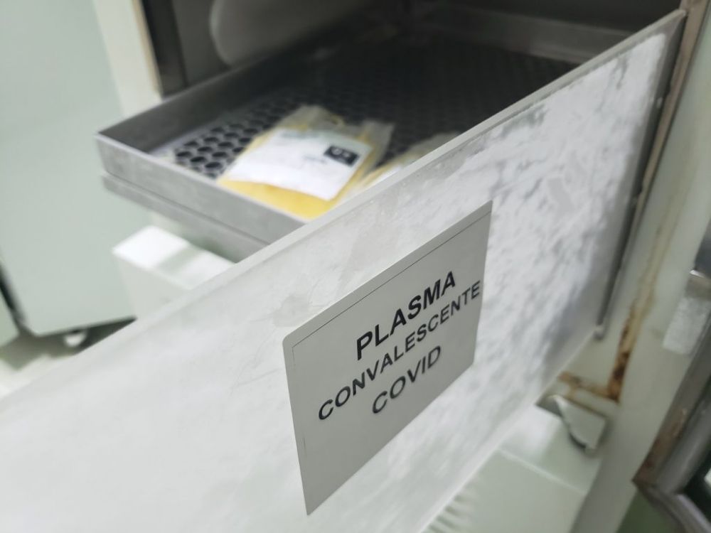 Plasma Convalescente será utilizado para o tratamento da Covid-19 no Hospital Tacchini