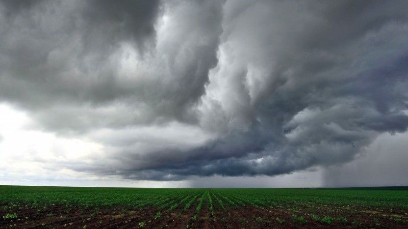 Chuva e umidade continuam na maior parte do Estado